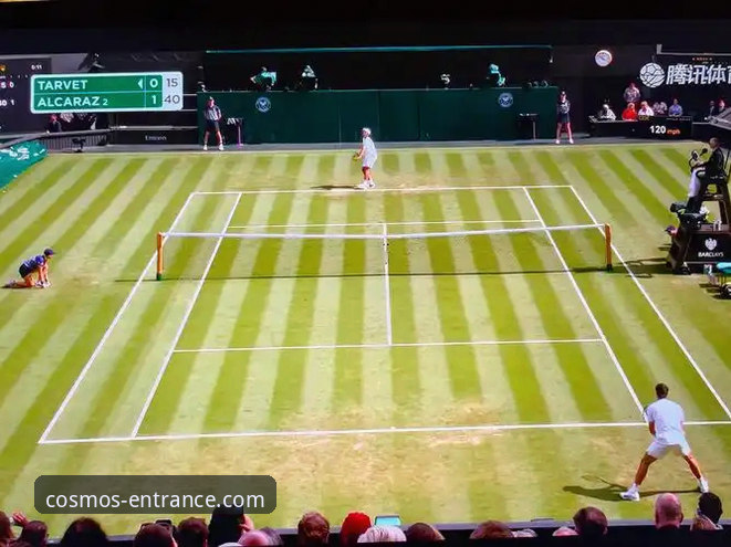 一场被“困住”的网球盛宴：从迪拜到印第安维尔斯的“路线选择”深度评测